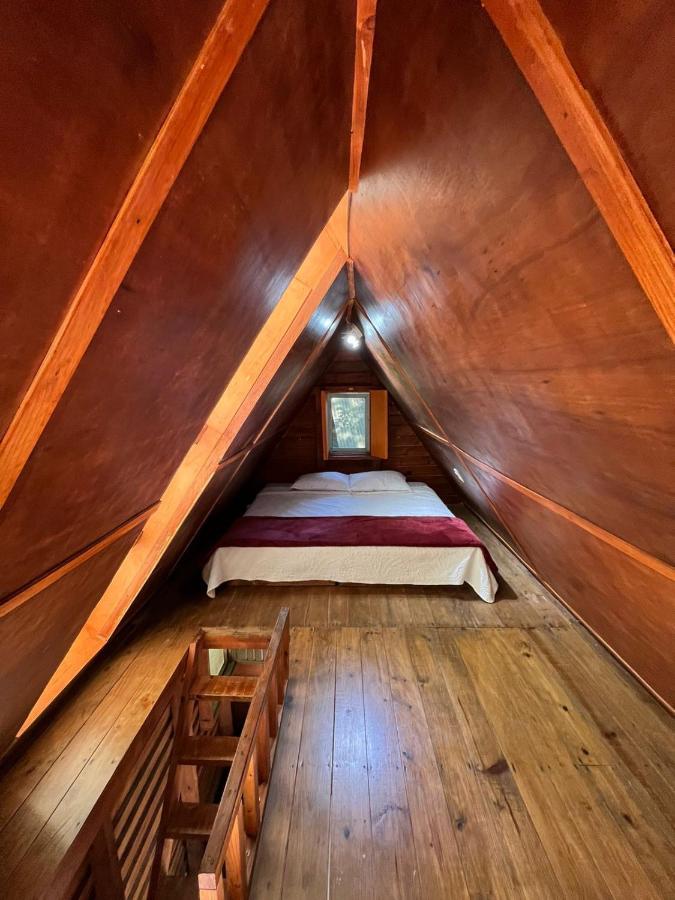 Hotel Cerveceria James Xilitla Dış mekan fotoğraf