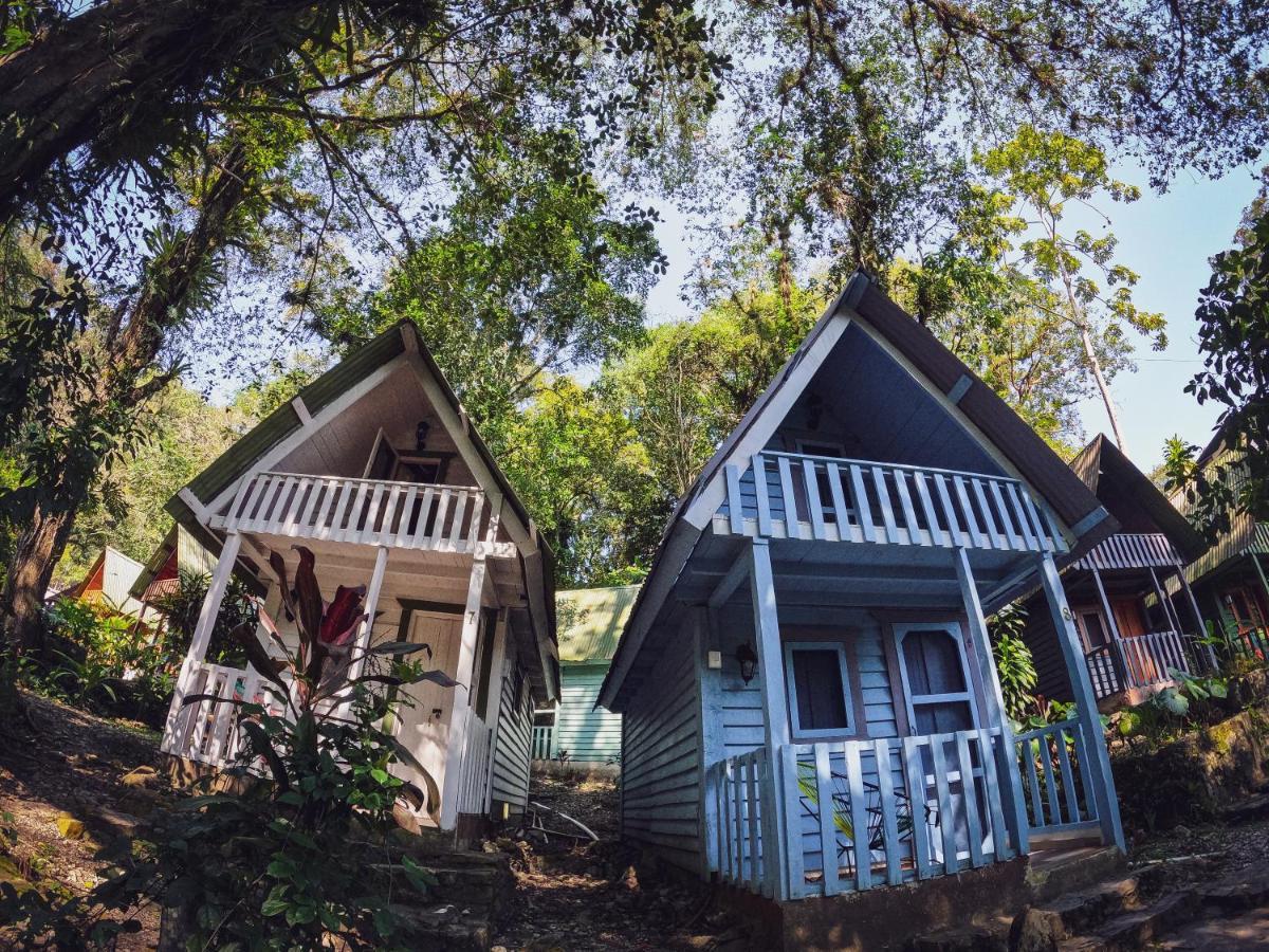 Hotel Cerveceria James Xilitla Dış mekan fotoğraf