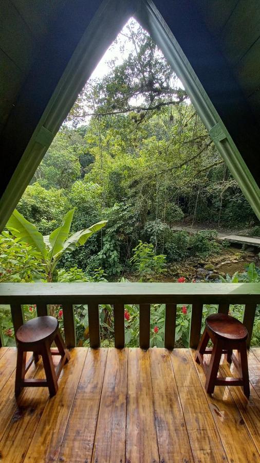 Hotel Cerveceria James Xilitla Dış mekan fotoğraf
